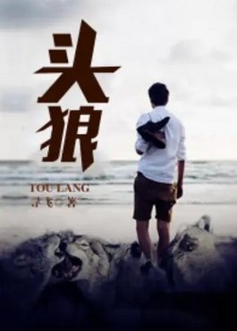 《头狼》（全本精校版）寻飞作品，都市生活类小说