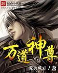 <b>《万道神尊》作者：无为秀才,全本精校版</b>