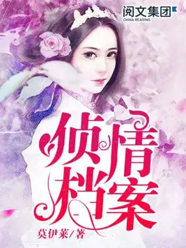 《侦情档案》悬疑灵异类小说，作者是莫伊莱