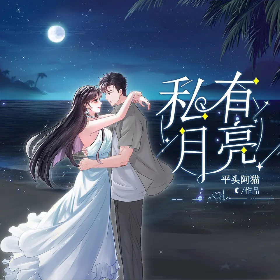 私有月亮丨小布沐阳丨现代言情