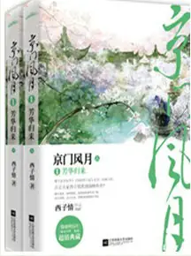 <b>《京门风月》是西子情创作的架空女强小说</b>