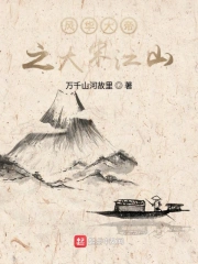 穿越大宋当皇帝 直男癌系列4-完